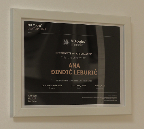 Dr. Ana Đinđić Leburić - Diploma lifting
